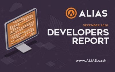 Developer’s Report Dec 2020